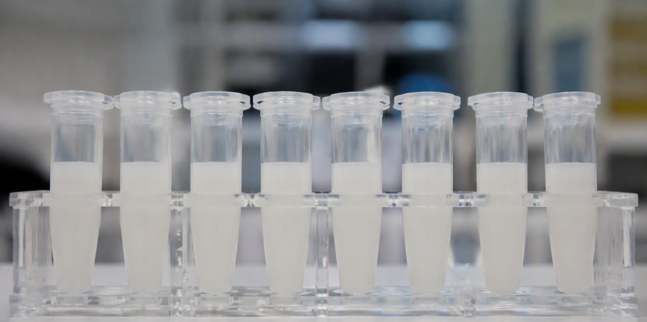 Small tubes of milky silica microsphere suspensions standing in a laboratory rack.