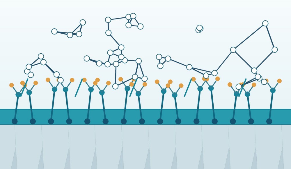 High-resolution scientific illustration of organosilane chains forming an interphase between an inorganic surface and a polymer network.