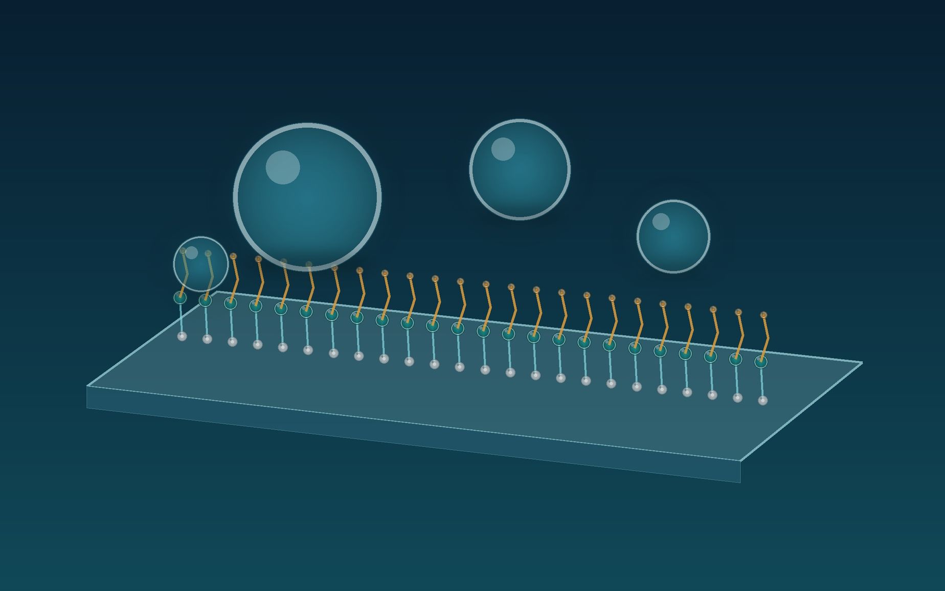 Water beads resting above a glass surface modified with a dense organosilane molecular layer.