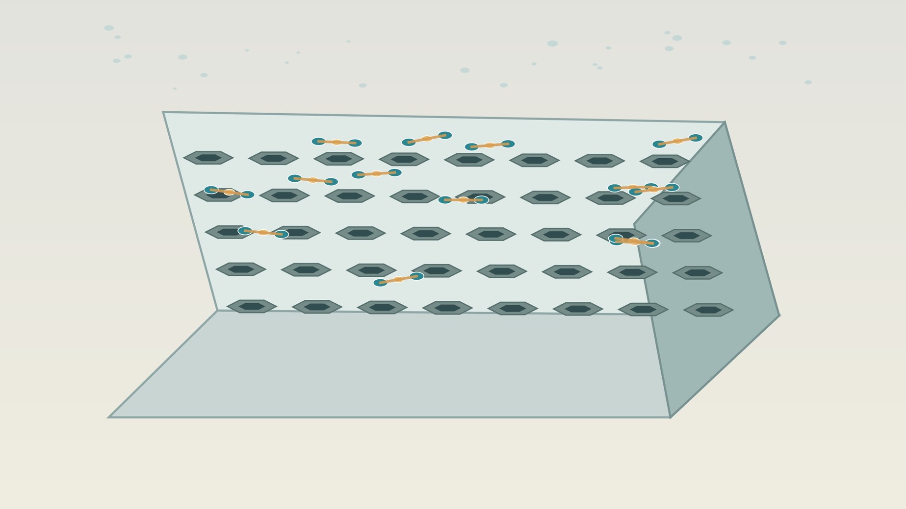 Mesoporous bridged organosilica structure with interconnected nanoscale channels.
