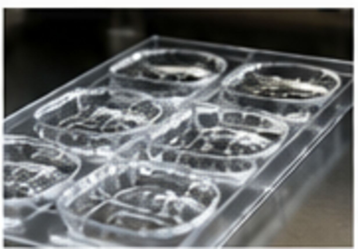 Clear molded polymer component on a polished mold surface illustrating silicone-based release processing.