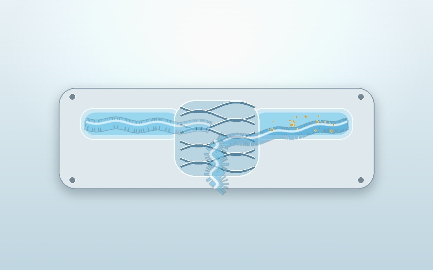 A soft clear encapsulant cushions three components while wave energy fades across the module.