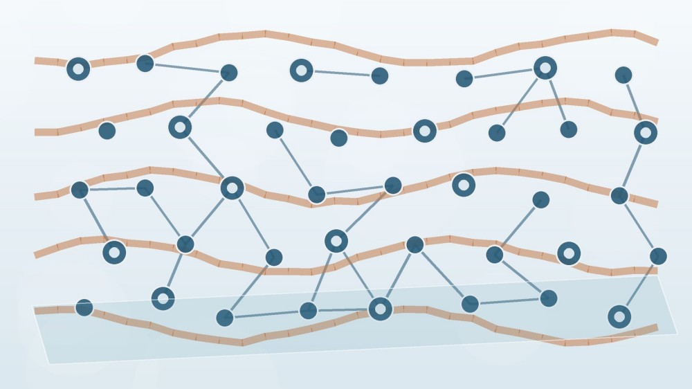 Abstract silicone-polyester hybrid material showing siloxane nodes connected across polyester-like organic chains in a thin coating film.