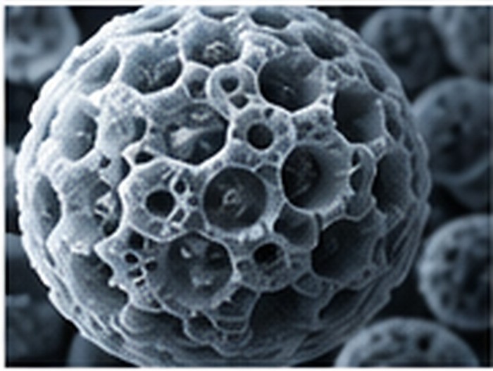Porous ceramic particle morphology representing high-surface-area inorganic modifier structures.
