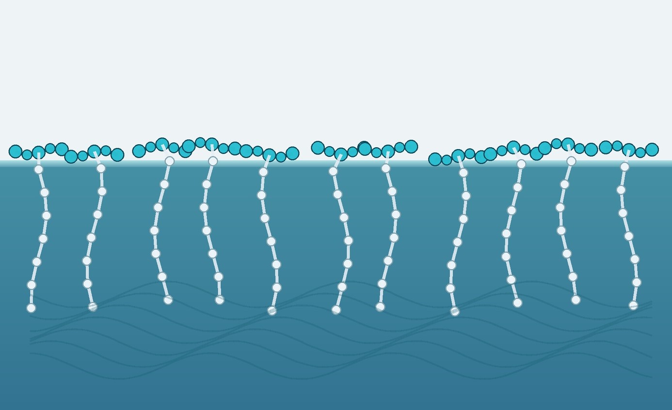 Silicone-rich molecular backbones sit along a coating surface while polyether chains extend into the liquid phase.