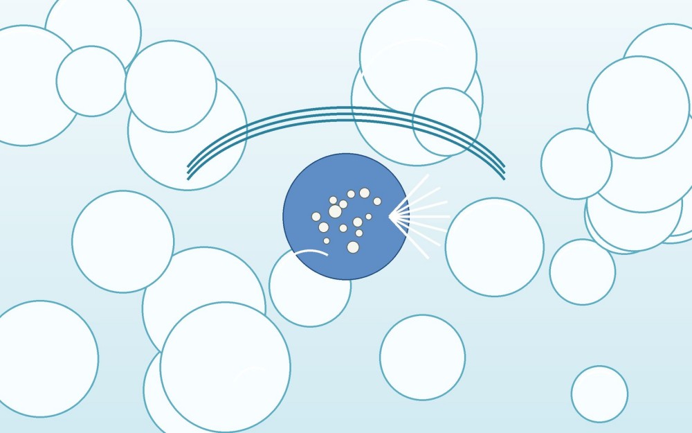 Foam film disrupted by a silicone antifoam droplet containing hydrophobic silica particles.